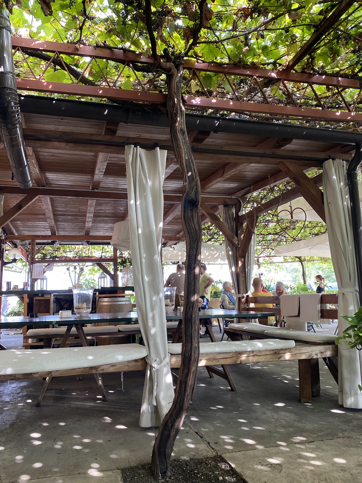 Trattoria Al Turista — foto 4